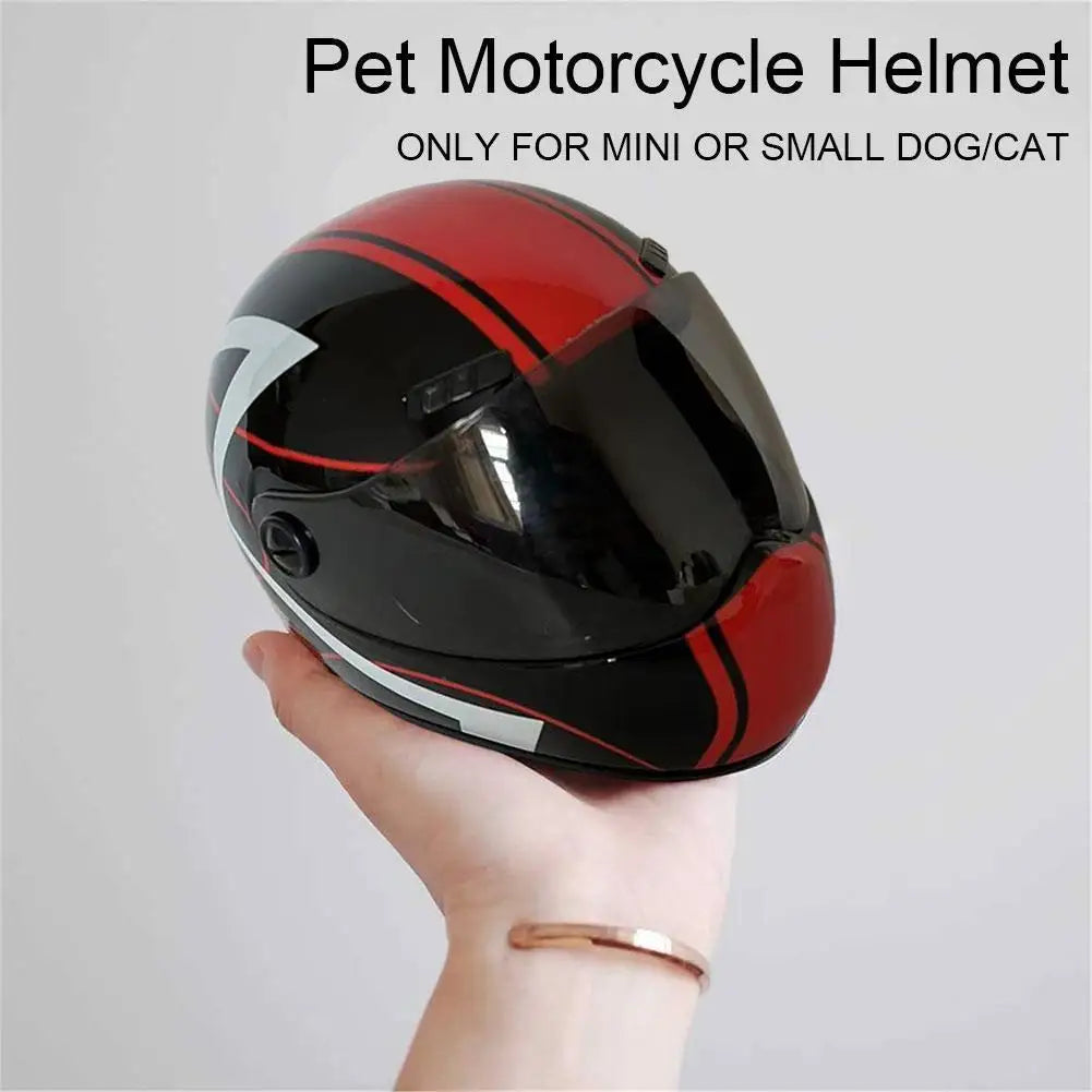 🛡️ DIY Pet Helmet – Mini Motorcycle Hat for Cats & Small Dogs 🐾