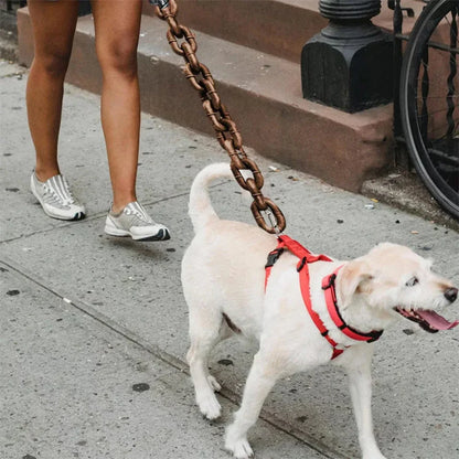 Heavy-Duty Dog Leash with Chain-Look Style for All Dogs