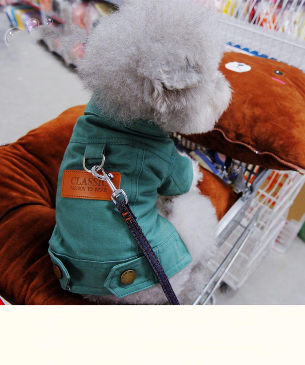 🧥 Dog Denim Jacket 🌼 Spring Vest with Leash Ring for Small Pets