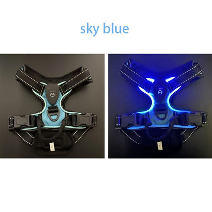 💡 LED Light Up Dog Harness – Adjustable No Pull Vest for Night Walks 🐾