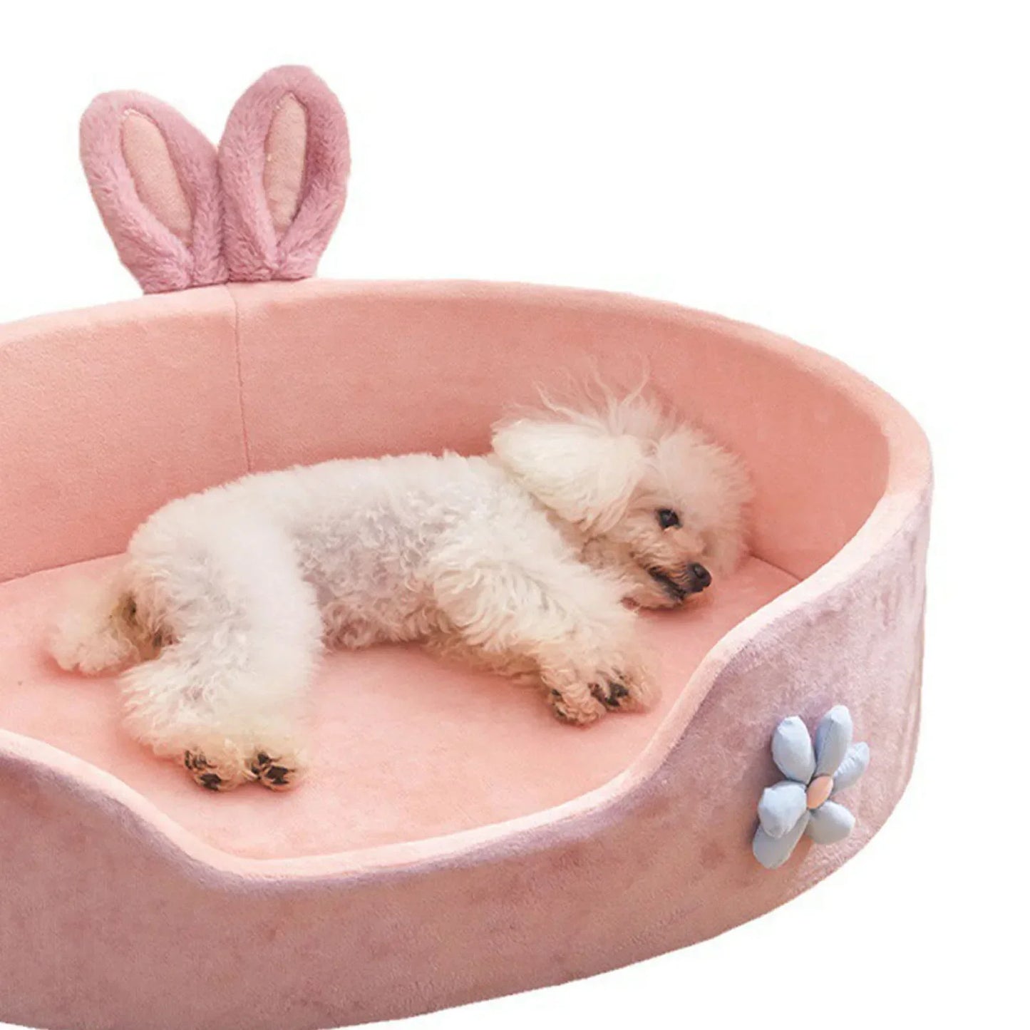 🐾 Soft Detachable Pet Bed 💖 Washable All-Season Bed for Small Dogs & Cats