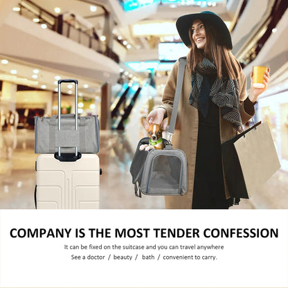 ✈️ Soft-Sided Dog Carrier Bag | Airline-Approved Travel for Small Pets 🐾