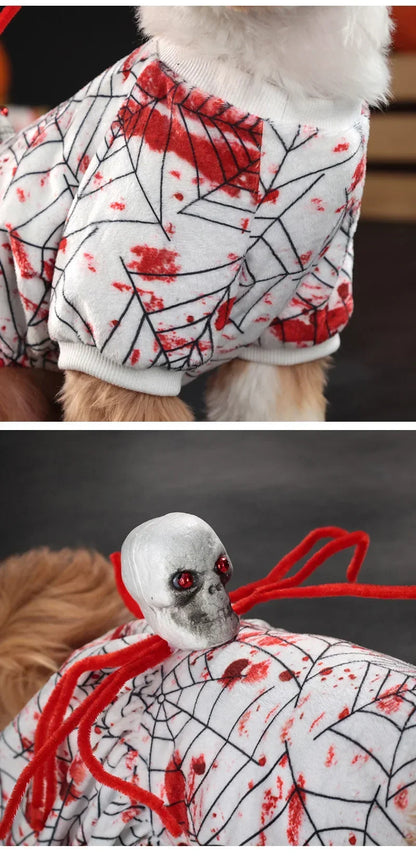 🕸️ Spooky Spider Web Halloween Dog Costume 🐶👻