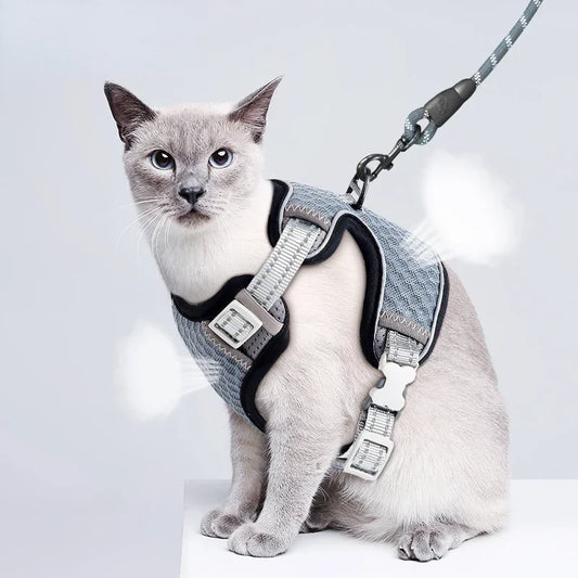 🐱 Cat Harness & Leash Set 🐾 Adjustable & Escape-Proof Design