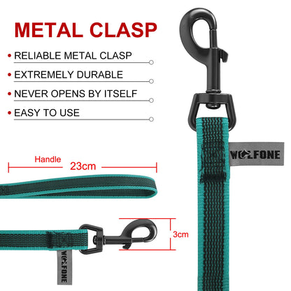 🐕 Long Dog Training Leash – Durable Nylon Rope Lead for Small & Large Dogs 🐾