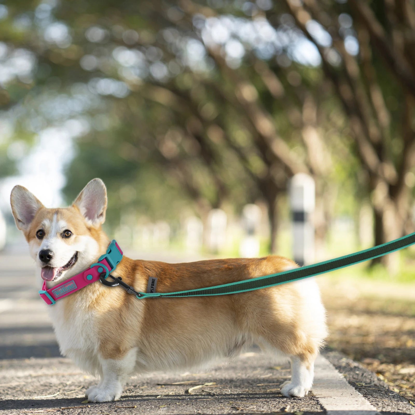 Long dog training leash durable nylon rope lead multiple lengths for small and large dogs outdoor walking
