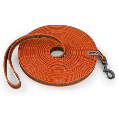 🐕 Long Dog Training Leash – Durable Nylon Rope Lead for Small & Large Dogs 🐾
