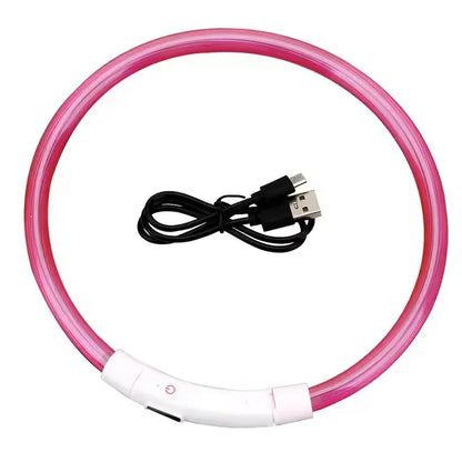 💡 LED Light-Up Dog Collar 🐕 USB Rechargeable & Cut-to-Fit | Night Safety