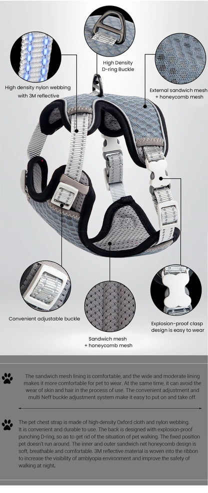 🐱 Cat Harness & Leash Set 🐾 Adjustable & Escape-Proof Design
