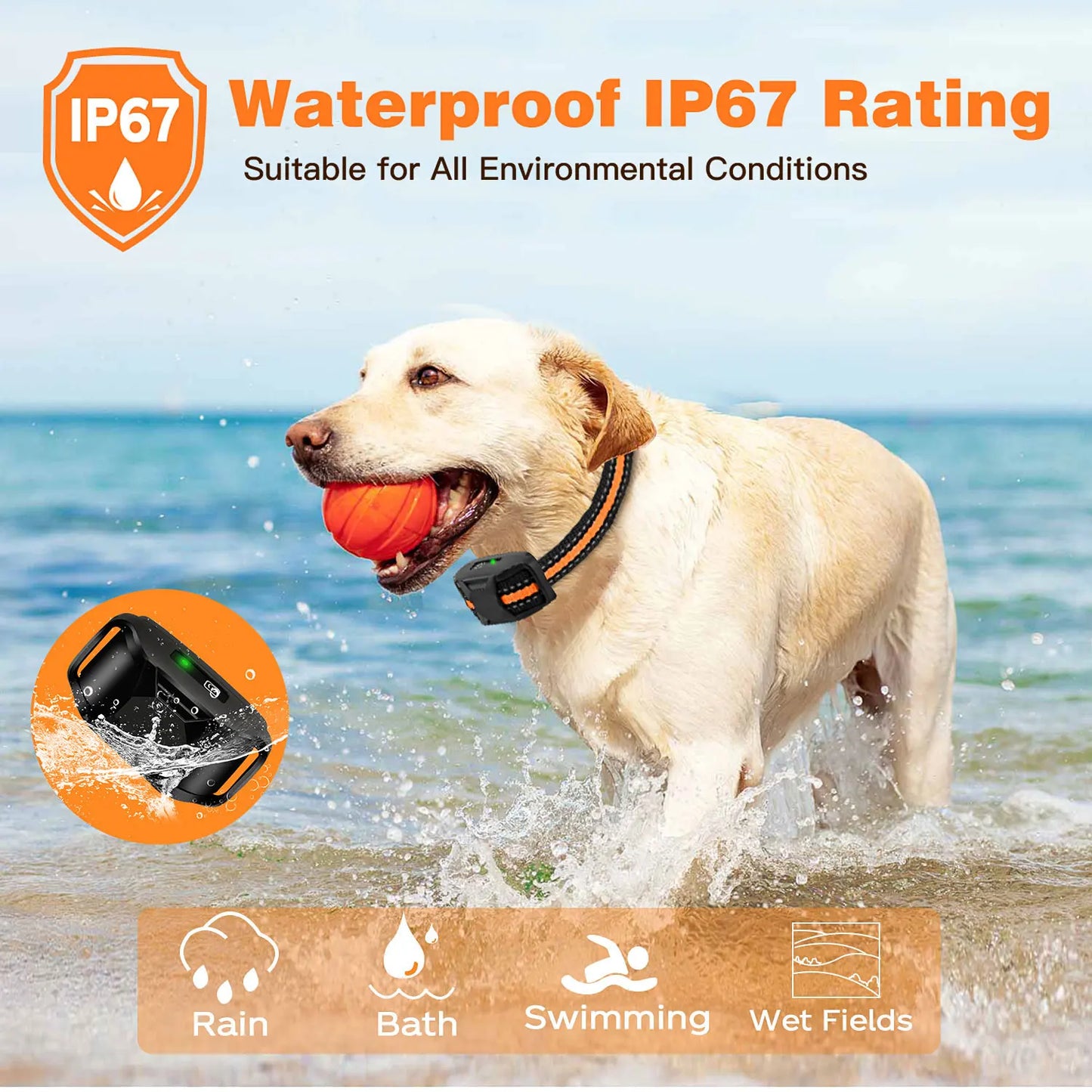 Remote Dog Training Collar with Shock & Vibration