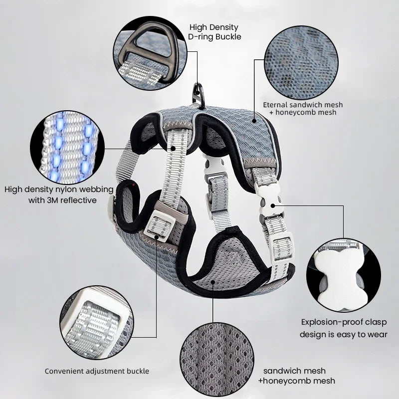 🐱 Cat Harness & Leash Set 🐾 Adjustable & Escape-Proof Design