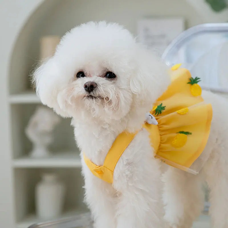 🌞 Sunflower Summer Dog Dress 🌻 Cute Mesh Princess Skirt for Small Dogs & Cats