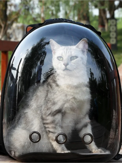 🎒 Capsule Pet Backpack 🐶🐱 | Breathable & Transparent Travel Carrier