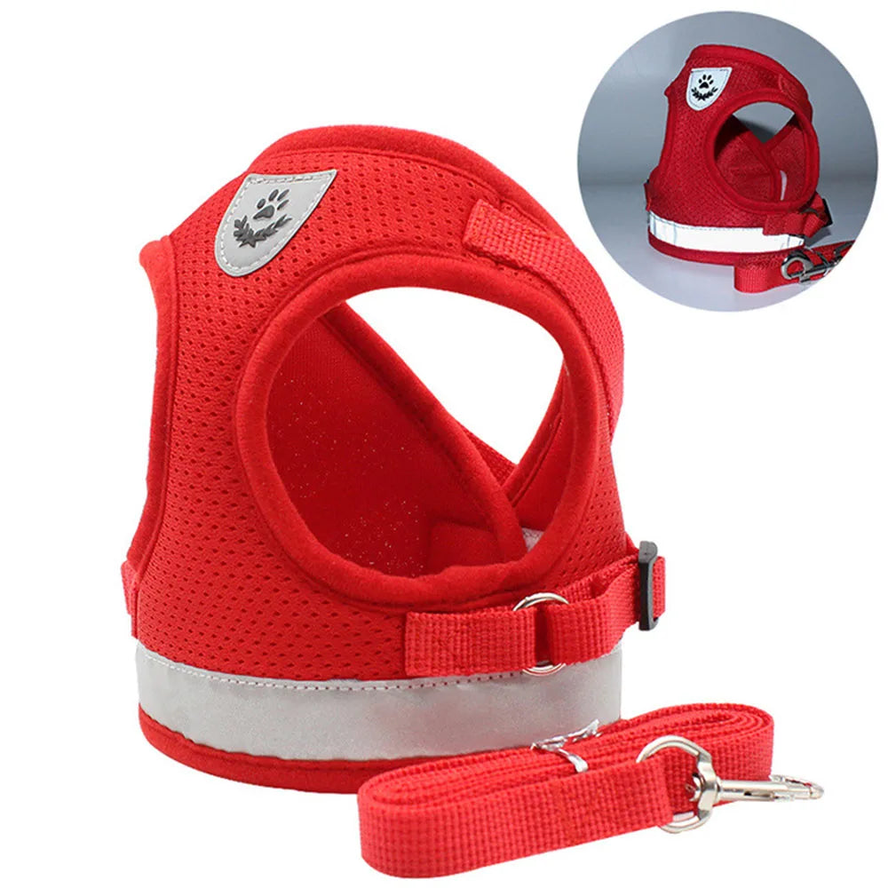 Adjustable Cat Harness & Leash Set – Breathable & Reflective