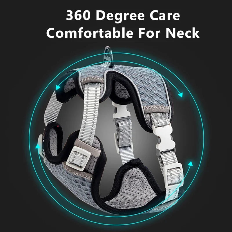 🐱 Cat Harness & Leash Set 🐾 Adjustable & Escape-Proof Design