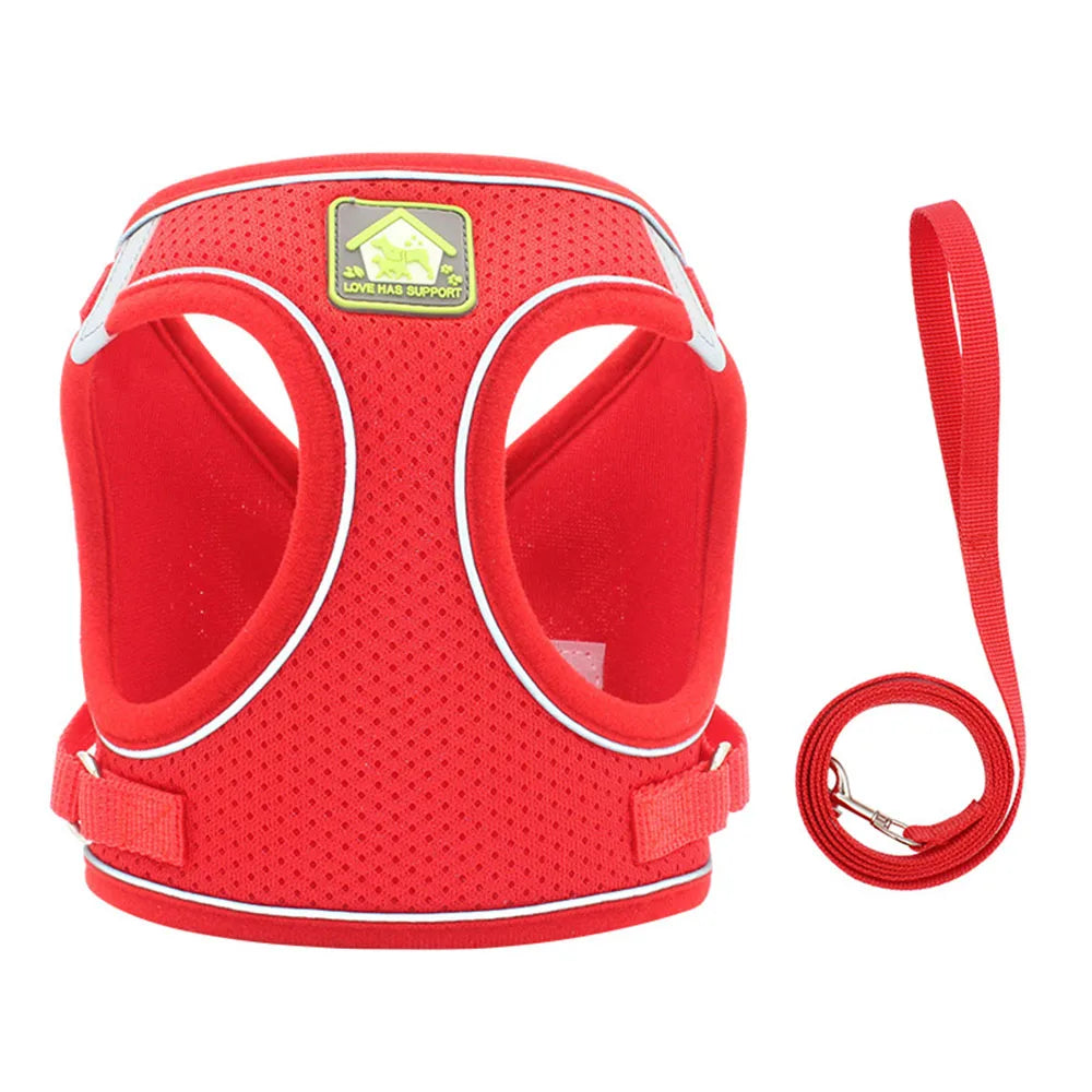 Adjustable Cat Harness & Leash Set – Breathable & Reflective