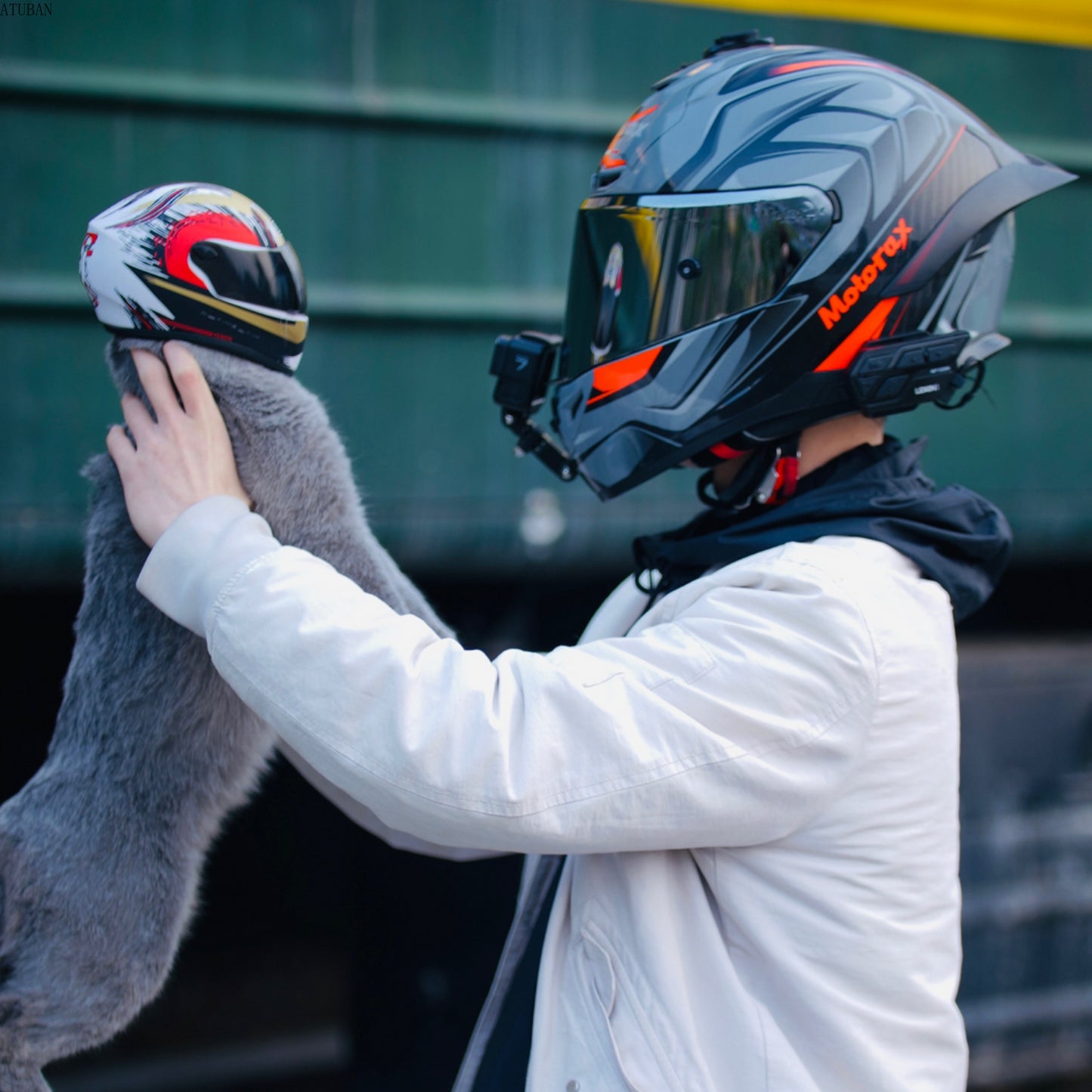🛡️ DIY Pet Helmet – Mini Motorcycle Hat for Cats & Small Dogs 🐾