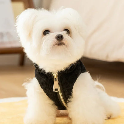 🧥 Quilted Dog Hoodie 🐾 | Warm Vest for Small Pets ❄️