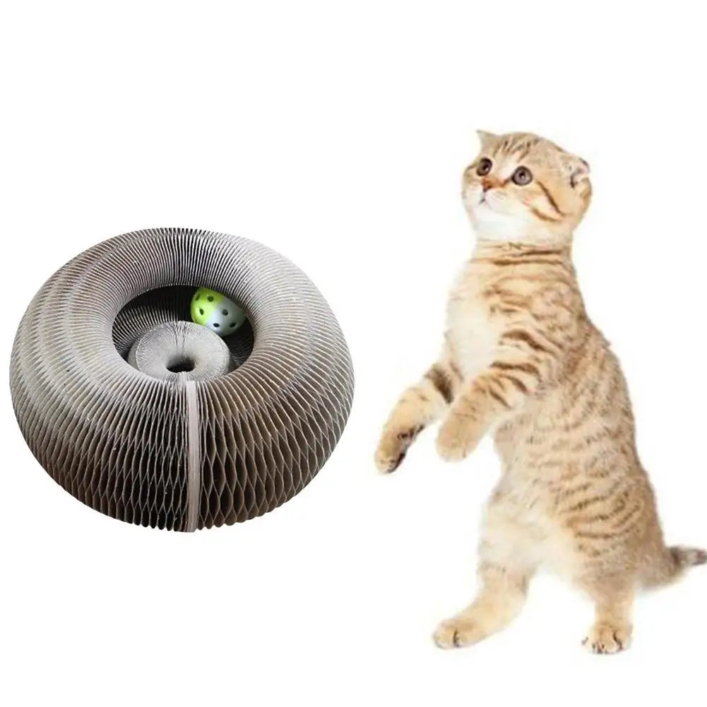 Foldable Cat Tunnel Toy 🐱✨ with Bell & Scratch Pad 🎯