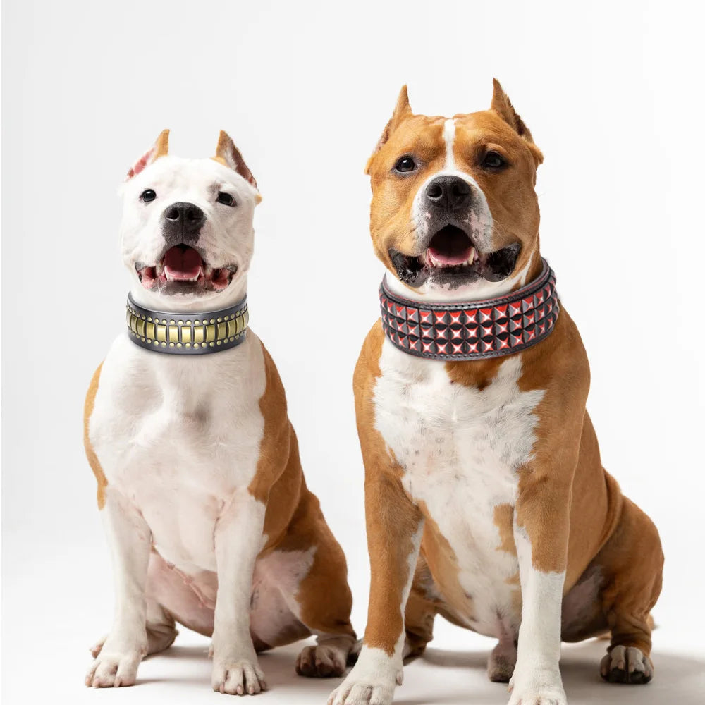 💎 Leather Dog Collar 🐶 Wide Rivet Design for Medium & Large Dogs