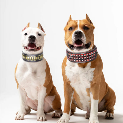 💎 Leather Dog Collar 🐶 Wide Rivet Design for Medium & Large Dogs
