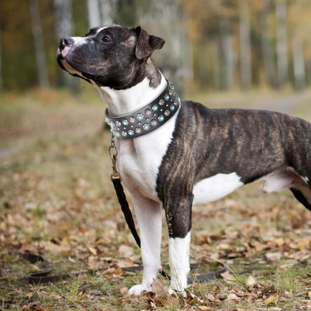 💎 Leather Dog Collar 🐶 Wide Rivet Design for Medium & Large Dogs