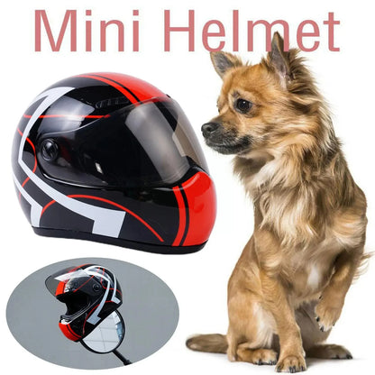 🛡️ DIY Pet Helmet – Mini Motorcycle Hat for Cats & Small Dogs 🐾