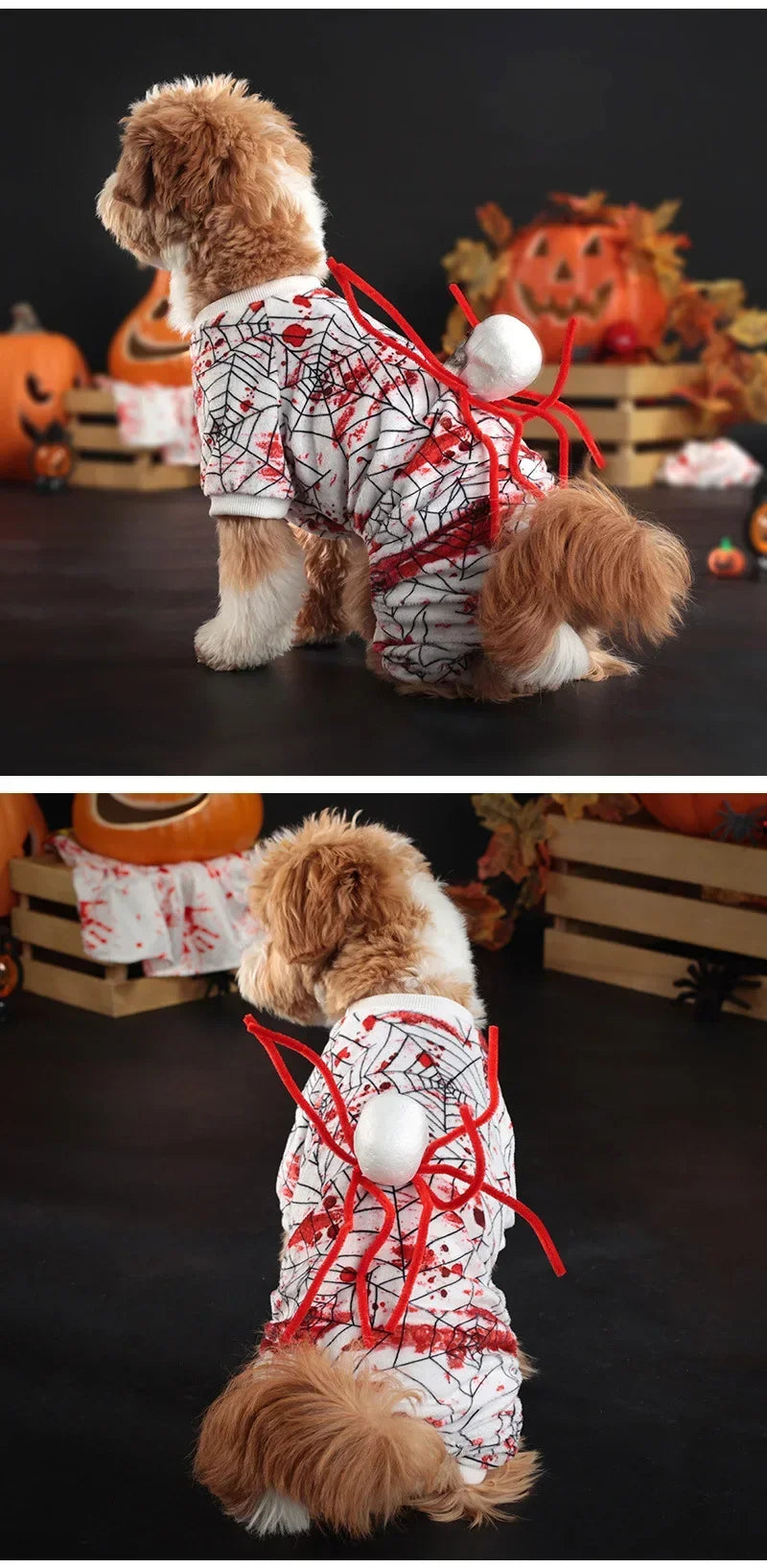 🕸️ Spooky Spider Web Halloween Dog Costume 🐶👻