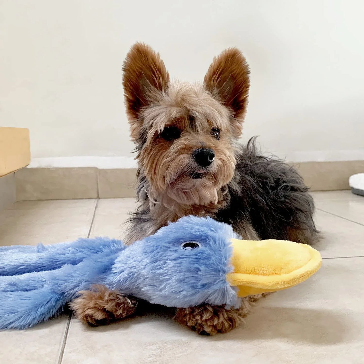 Plush Duck Dog Toy  🧸 Squeaky No-Stuffing Chew Toy for Puppies and Small Dogs