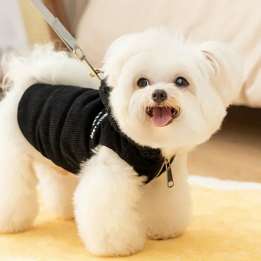 🧥 Quilted Dog Hoodie 🐾 | Warm Vest for Small Pets ❄️