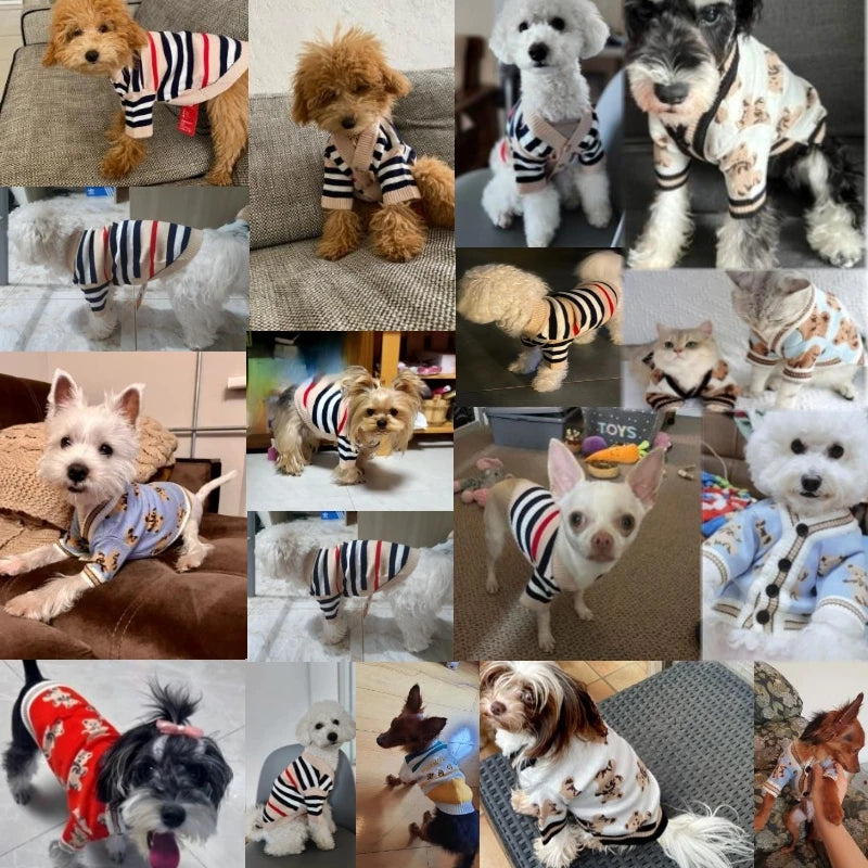 🧶 Striped Pet Sweater – Soft & Stylish Comfort for Small Pets