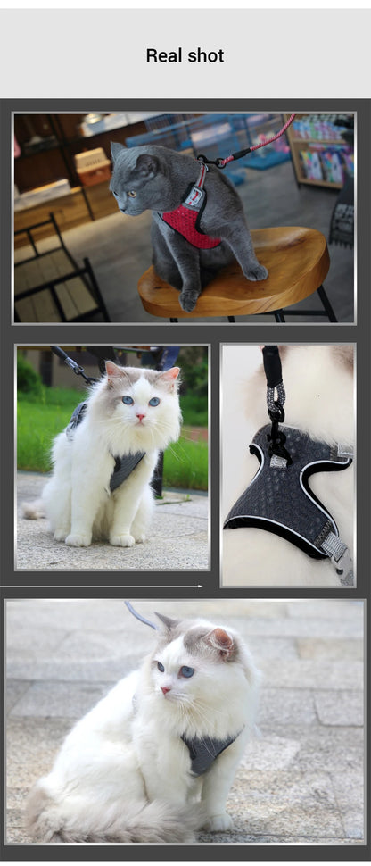 🐱 Cat Harness & Leash Set 🐾 Adjustable & Escape-Proof Design