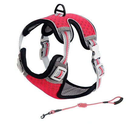🐱 Cat Harness & Leash Set 🐾 Adjustable & Escape-Proof Design