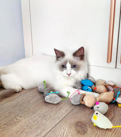 Catnip Mice Cat Toys – Rattle Interactive Play Set