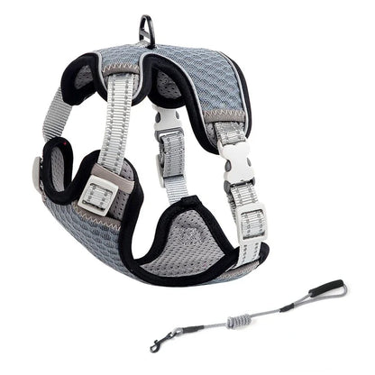 🐱 Cat Harness & Leash Set 🐾 Adjustable & Escape-Proof Design