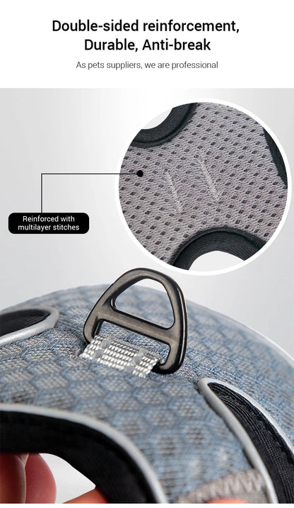🐱 Cat Harness & Leash Set 🐾 Adjustable & Escape-Proof Design