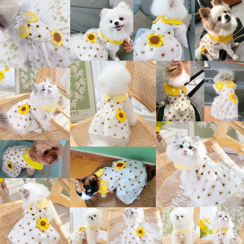 🌞 Sunflower Summer Dog Dress 🌻 Cute Mesh Princess Skirt for Small Dogs & Cats