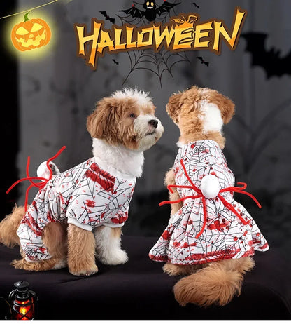 🕸️ Spooky Spider Web Halloween Dog Costume 🐶👻