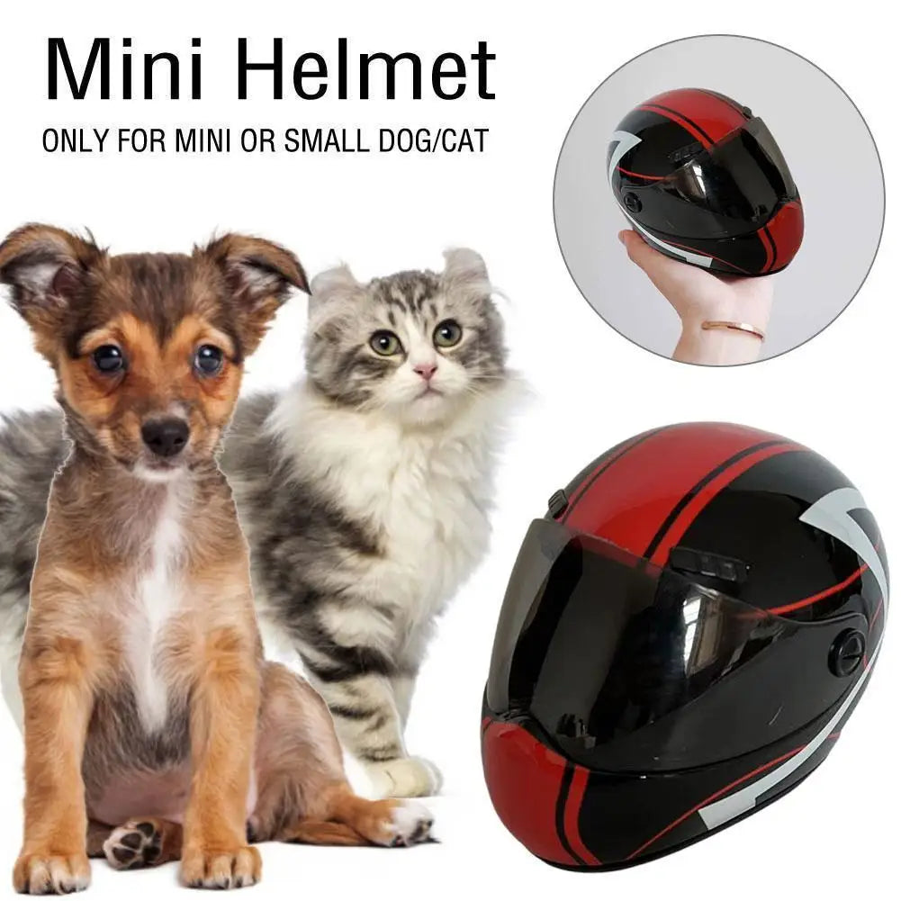 🛡️ DIY Pet Helmet – Mini Motorcycle Hat for Cats & Small Dogs 🐾