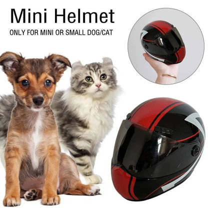 🛡️ DIY Pet Helmet – Mini Motorcycle Hat for Cats & Small Dogs 🐾