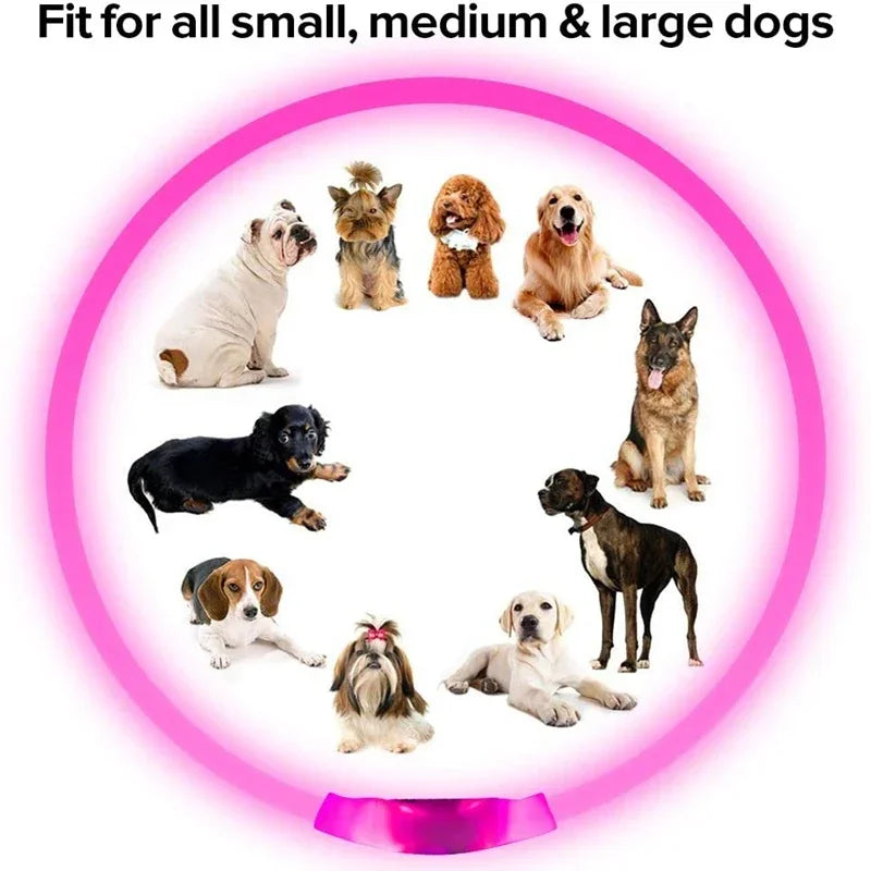 💡 LED Light-Up Dog Collar 🐕 USB Rechargeable & Cut-to-Fit | Night Safety