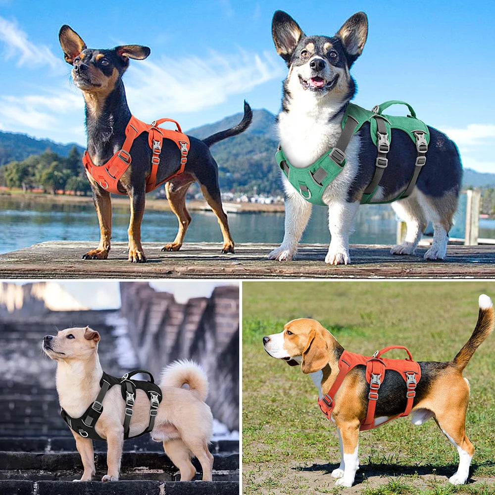 🎯 Reflective Dog Harness 🐕 Vest with Handle for Medium & Large Dogs