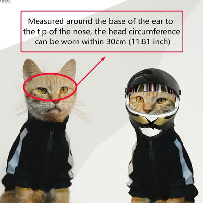 🛡️ DIY Pet Helmet – Mini Motorcycle Hat for Cats & Small Dogs 🐾
