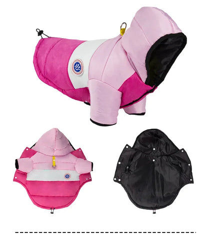 🧥 Dog Winter Jacket 🐶 Warm Padded Coat for Small & Medium Pets
