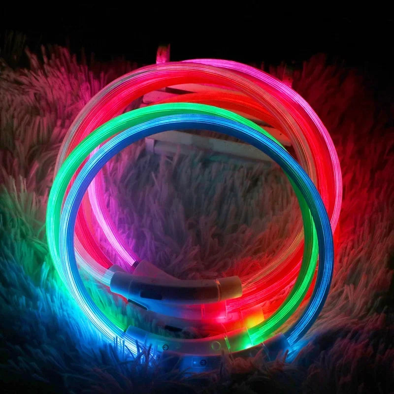 💡 LED Light-Up Dog Collar 🐕 USB Rechargeable & Cut-to-Fit | Night Safety