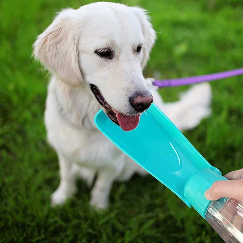 🐾 Portable Pet Water Bottle – Foldable Travel Cup for Dogs & Cats 🚰