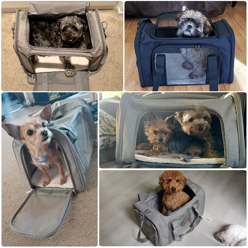 ✈️ Soft-Sided Dog Carrier Bag | Airline-Approved Travel for Small Pets 🐾