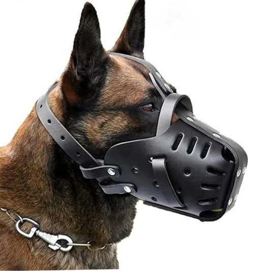 🦴 Leather Dog Muzzle 👨‍✈️Anti-Bite Training Cage for German Shepherd & Large Dogs