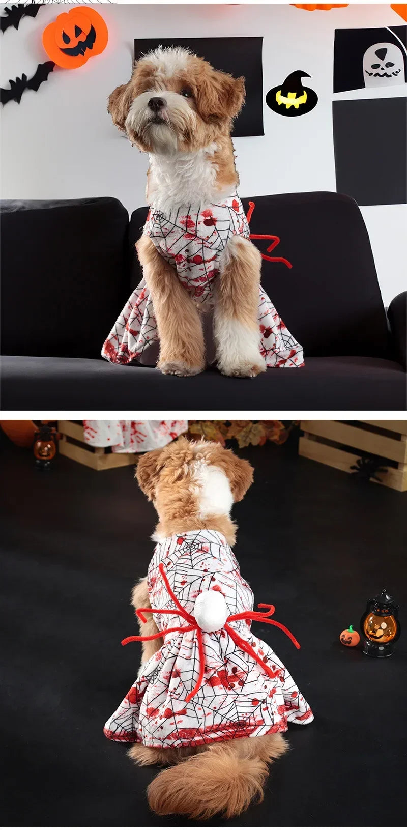 🕸️ Spooky Spider Web Halloween Dog Costume 🐶👻
