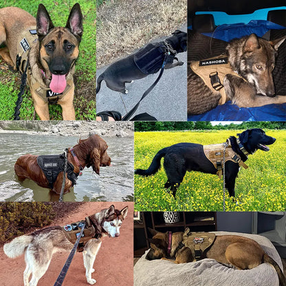 Tactical Dog Harness Set – Large Dog Vest + Leash + Collar
